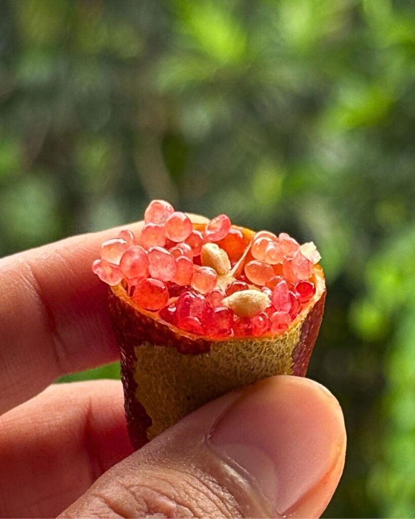 3ebe7b54 Fbbf 44fb 8439 65d8f67dcd8f